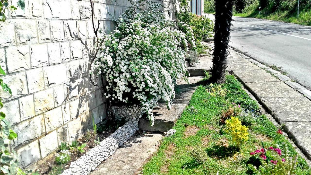 Friendly Apartament