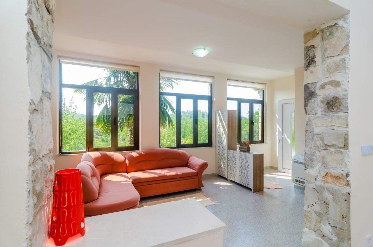 Apartament Friendly